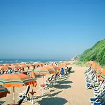 Pineta