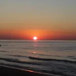 Pineta