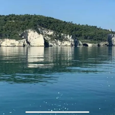 Pineta