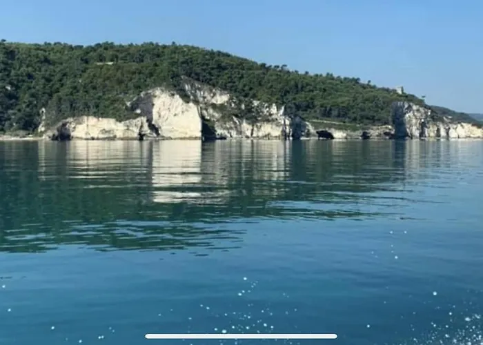 Pineta