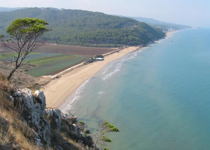 Pineta Appartamento